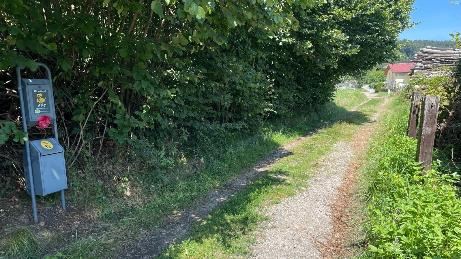 Der Standort der Hundetoilette am Eichenweg wurde auf Wunsch von Anrainerinnen und Anrainern um rund 50 Meter in Richtung Ragain versetzt.